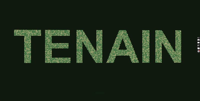 TENAIN Citas — screenshot 1