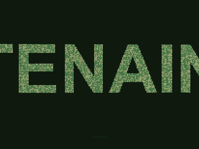 Cover of TENAIN Platform